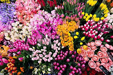 吴越丧葬民俗恐怖游戏《女吊》概念PV公布